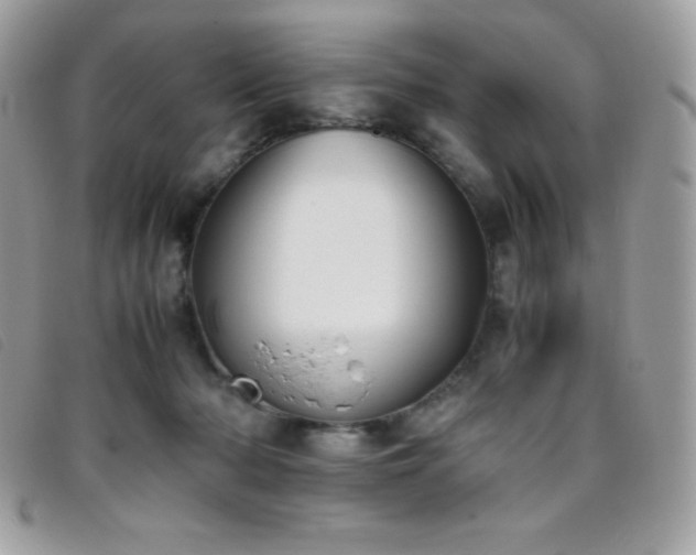 X0000095890318200801111201