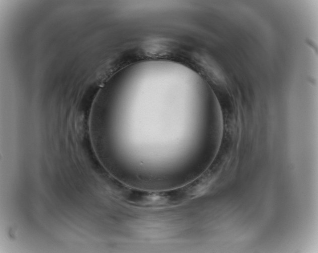 X0000095890319200801111201