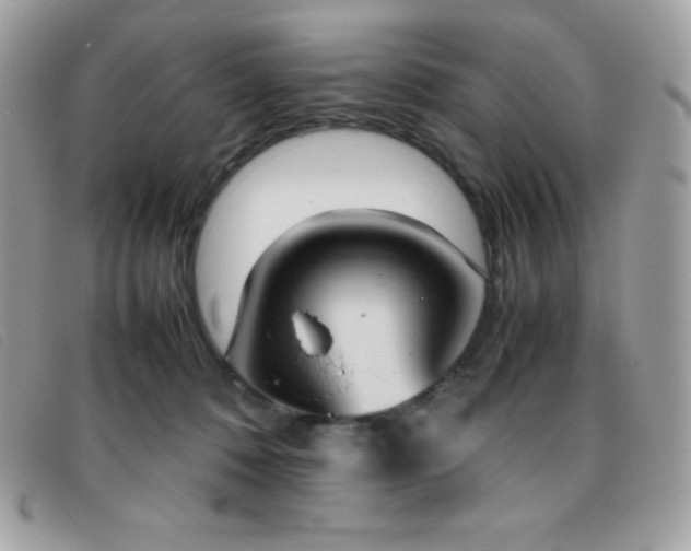 X0000095890320200801111201
