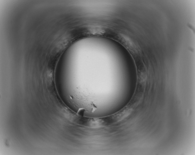 X0000095890321200801111201