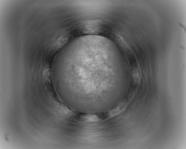 X0000095890322200801111201