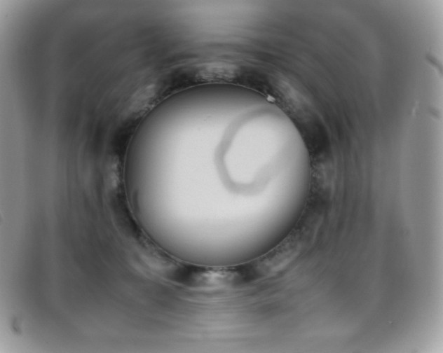 X0000095890323200801111201