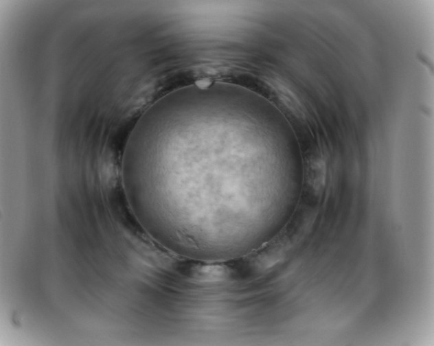 X0000095890324200801111201