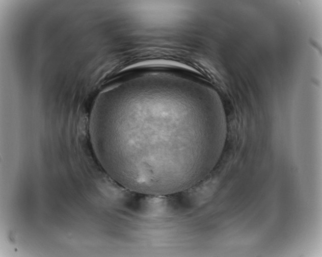 X0000095890325200801111201