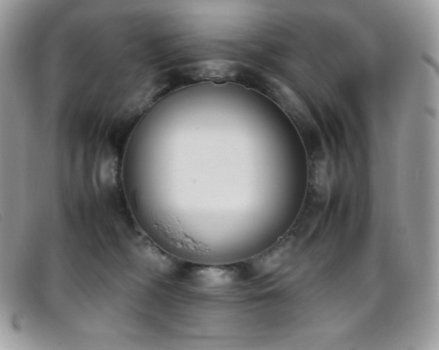 X0000095890326200801111201