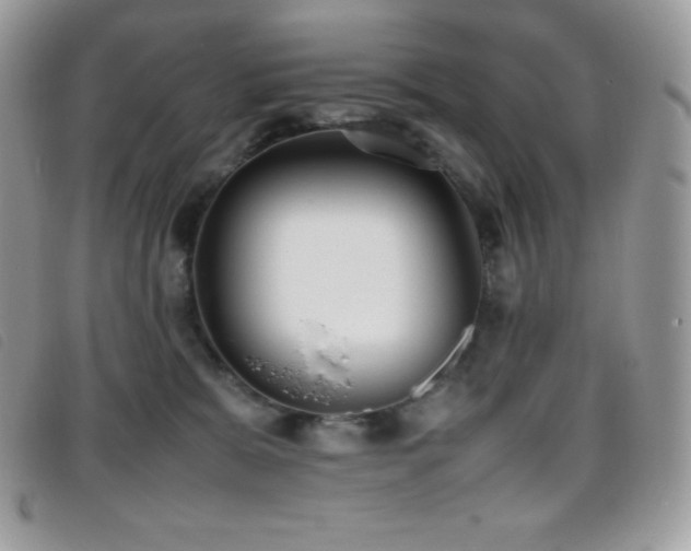 X0000095890327200801111201