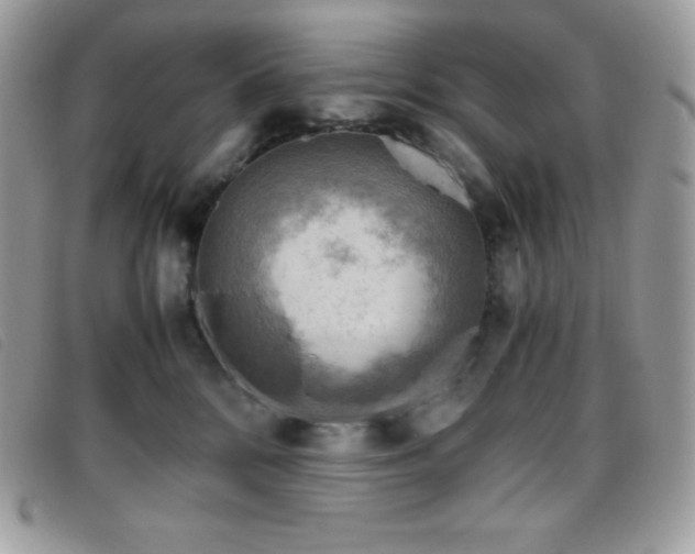 X0000095890328200801111201