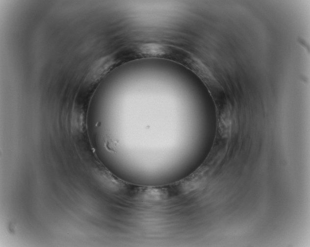 X0000095890330200801111201