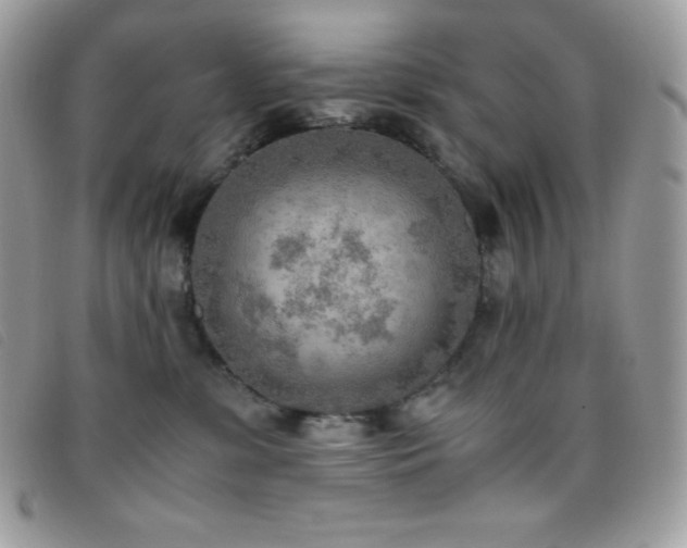 X0000095890331200801111201