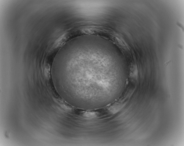 X0000095890332200801111201