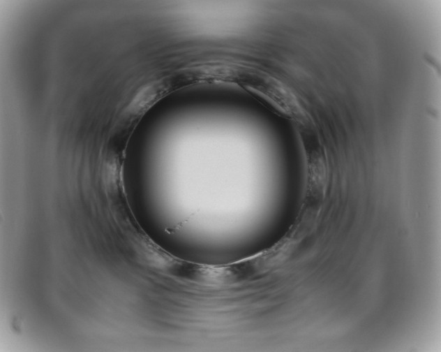 X0000095890333200801111201