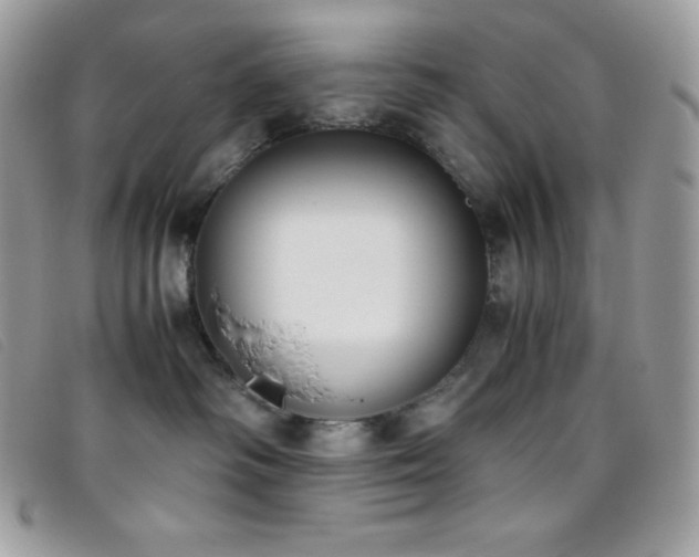 X0000095890334200801111201