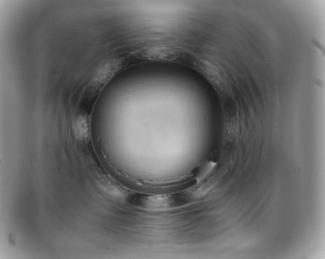 X0000095890335200801111201