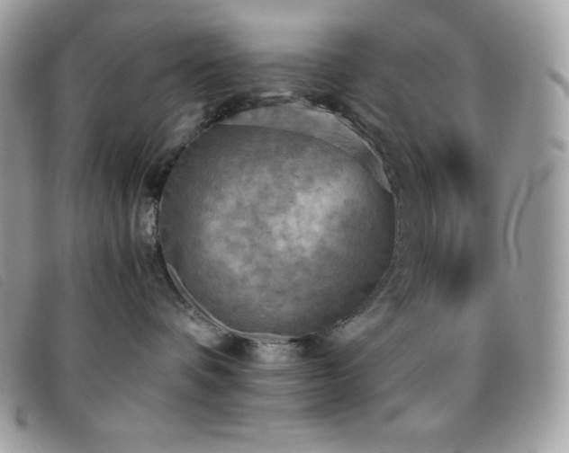 X0000095890336200801111201