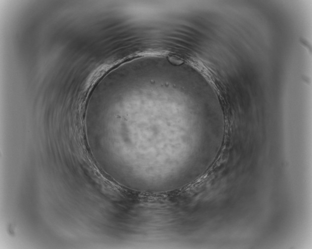 X0000095890337200801111200