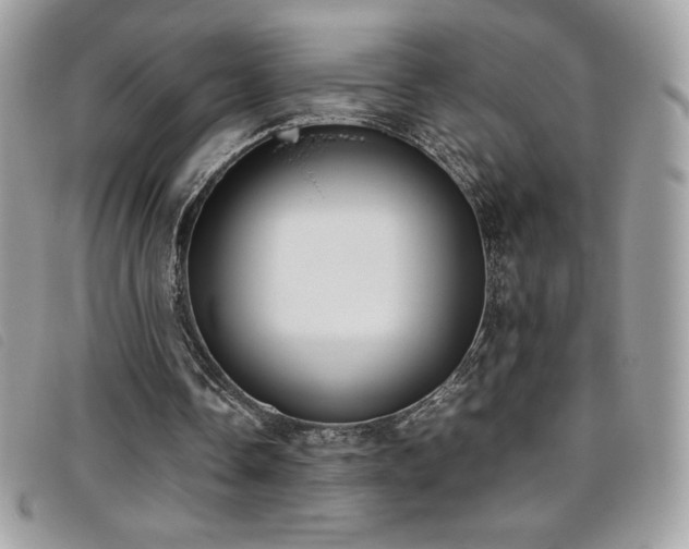 X0000095890338200801111200