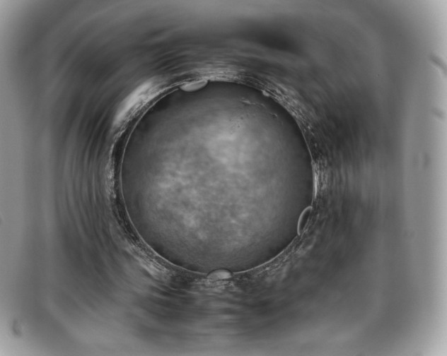 X0000095890339200801111200