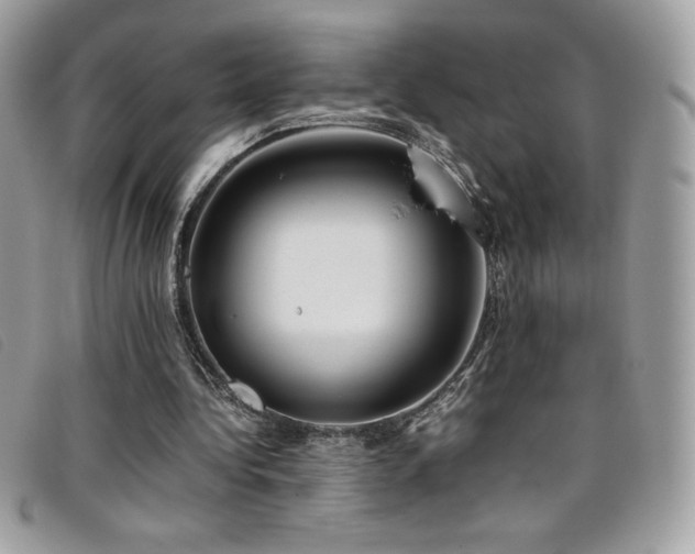 X0000095890340200801111200
