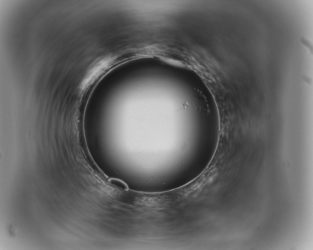 X0000095890341200801111200