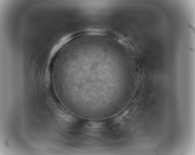 X0000095890343200801111200