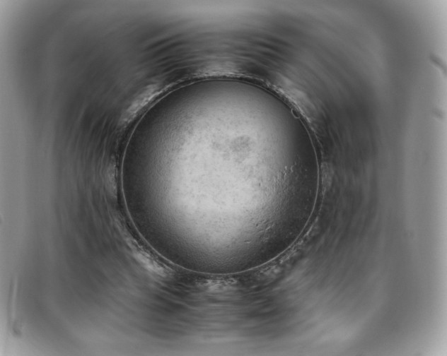 X0000095890345200801111200