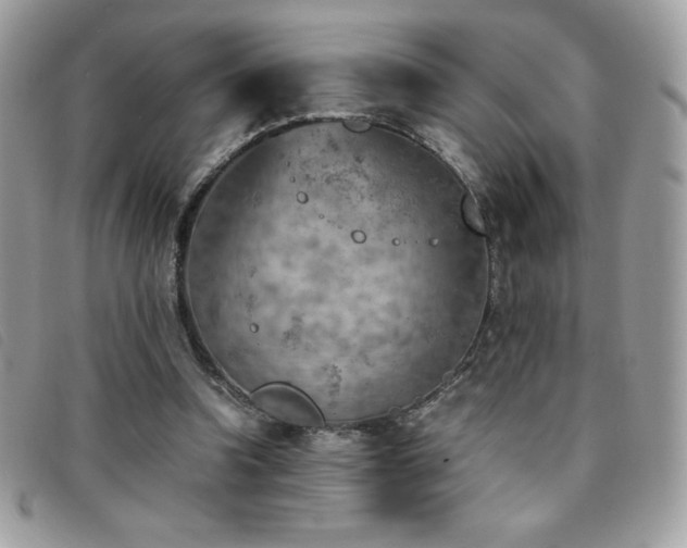 X0000095890346200801111200