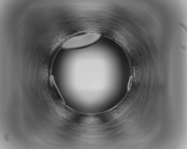 X0000095890348200801111200