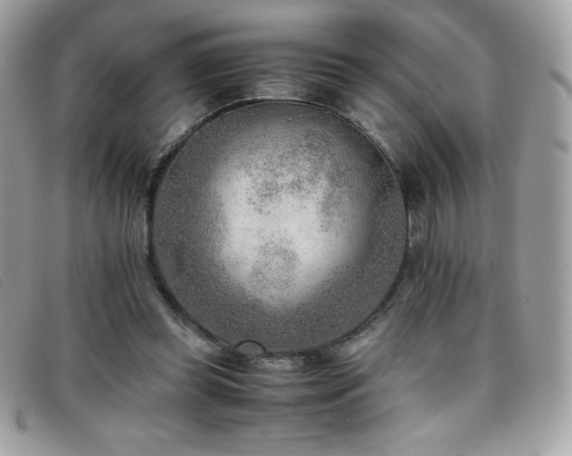 X0000095890349200801111200