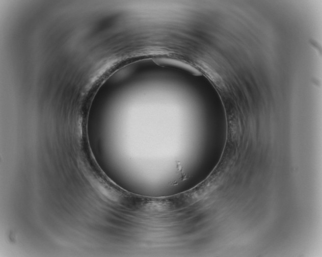 X0000095890350200801111200