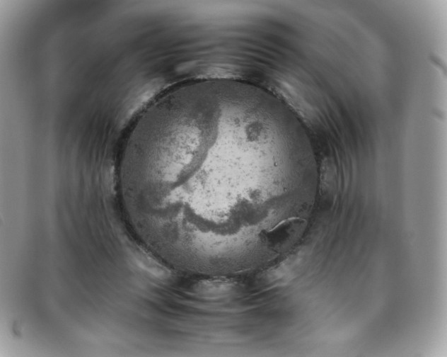 X0000095890351200801111200