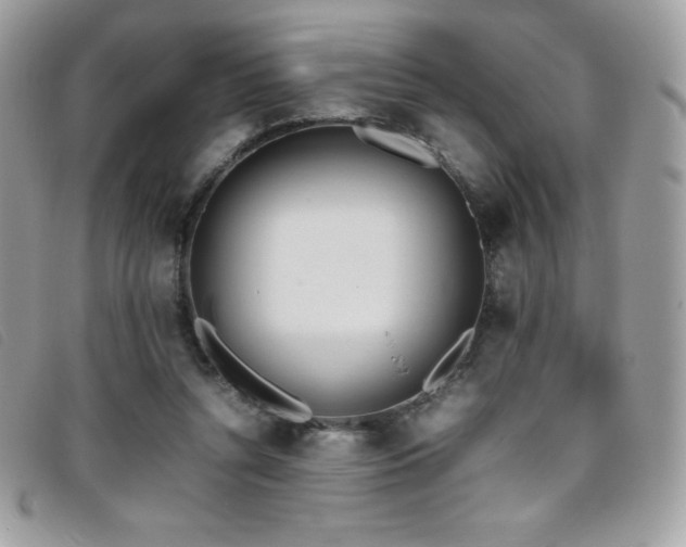 X0000095890352200801111200