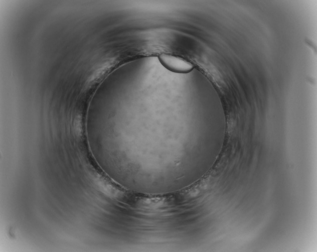 X0000095890353200801111200