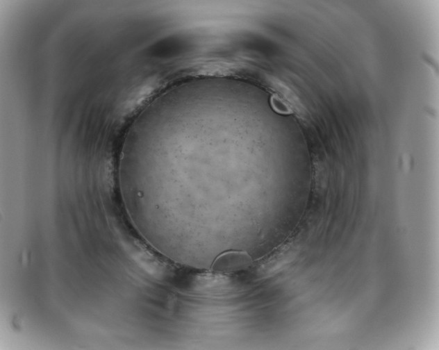 X0000095890354200801111200
