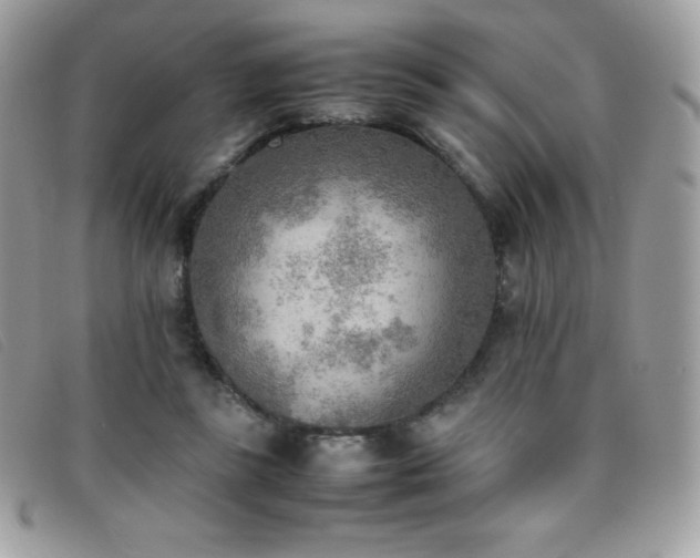 X0000095890355200801111200
