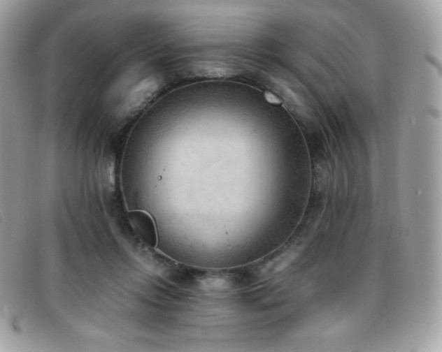 X0000095890358200801111200