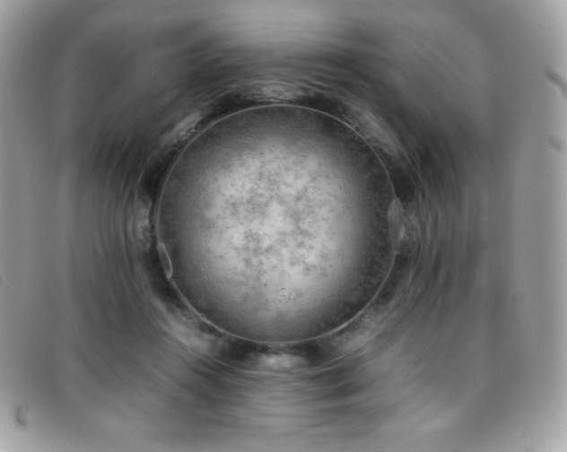 X0000095890360200801111200