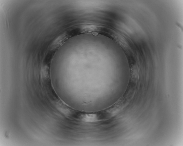 X0000095890361200801111200