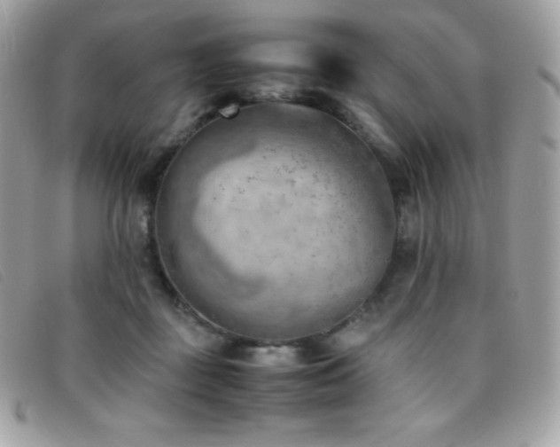 X0000095890363200801111200