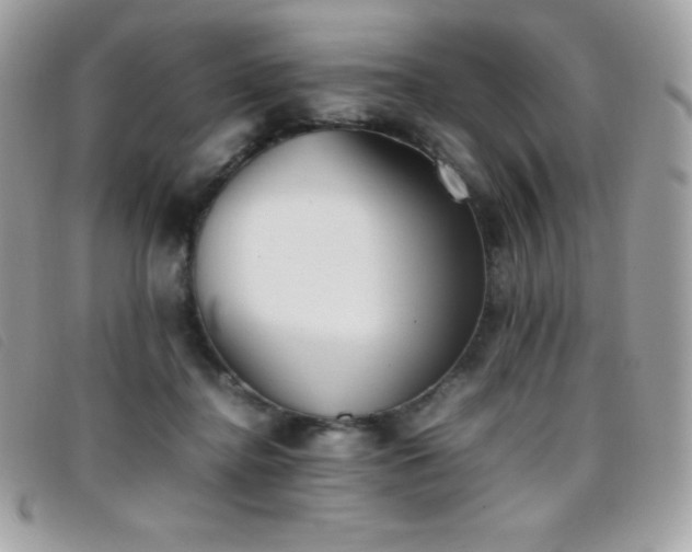 X0000095890364200801111200