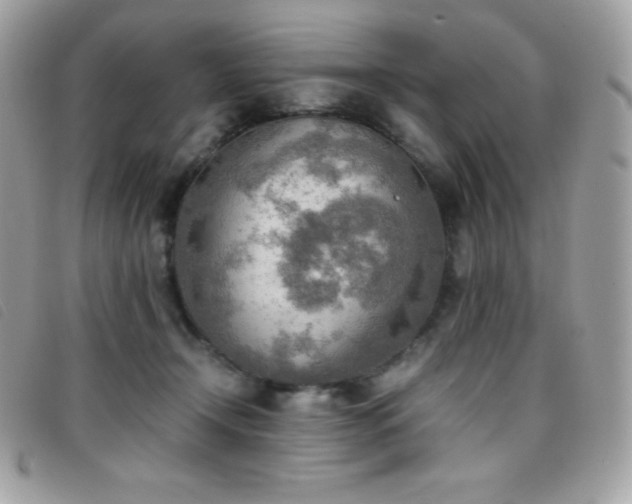X0000095890366200801111200