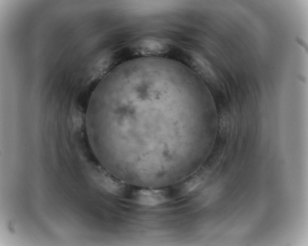 X0000095890367200801111200