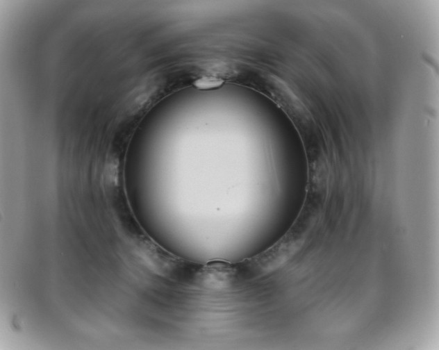 X0000095890368200801111200