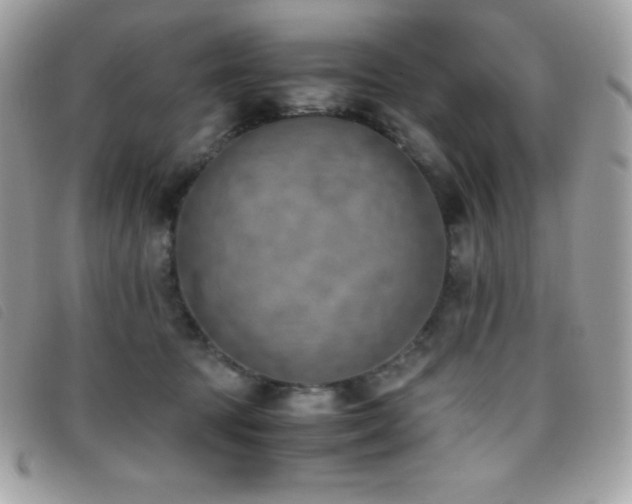X0000095890369200801111201
