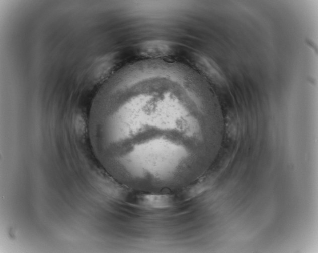X0000095890371200801111201