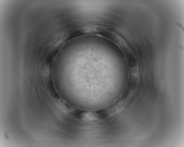 X0000095890372200801111201