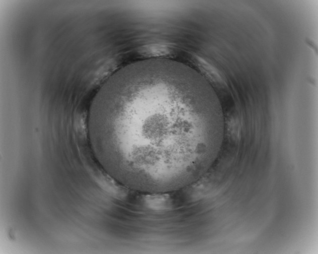 X0000095890373200801111201