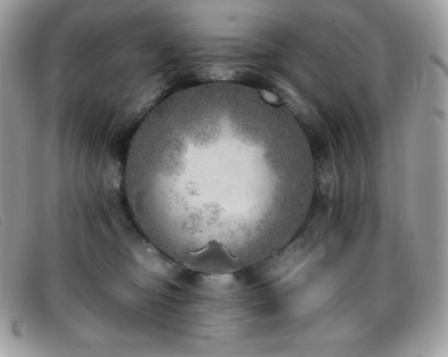 X0000095890374200801111201