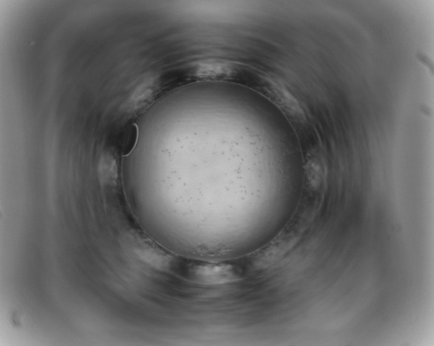 X0000095890375200801111201