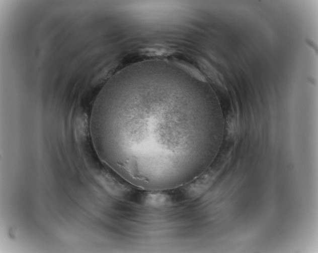 X0000095890376200801111201