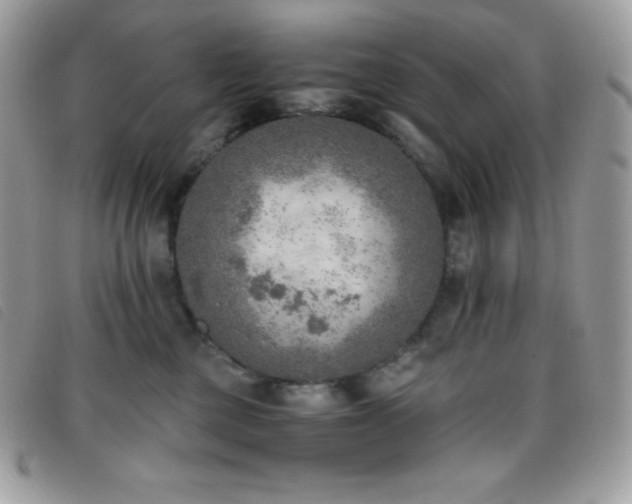 X0000095890377200801111201